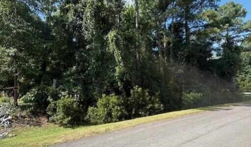 .46 acre lot, Cordgrass #9