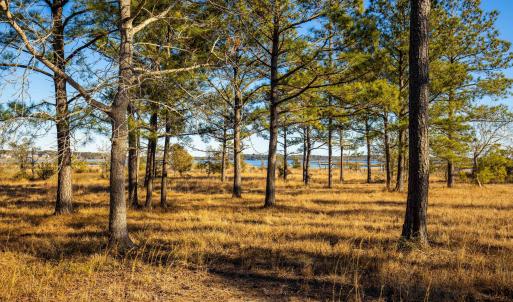 Plantation Estates Lot-1