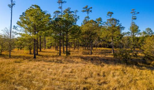 Plantation Estates Lot-26