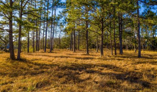 Plantation Estates Lot-28
