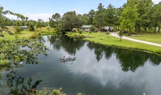 Pond