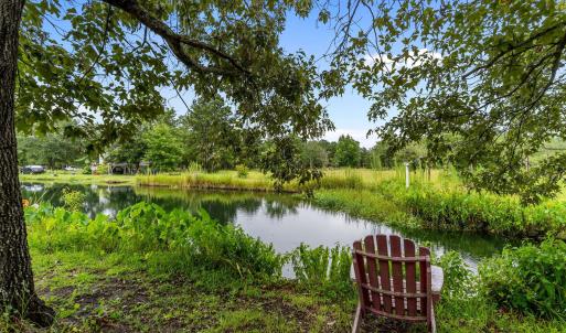 Pond
