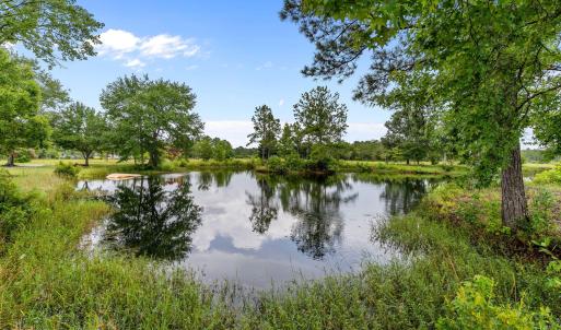 Pond