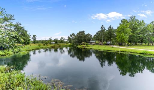 Pond