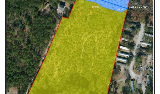 PreliminaryWetlandDelineationSketch