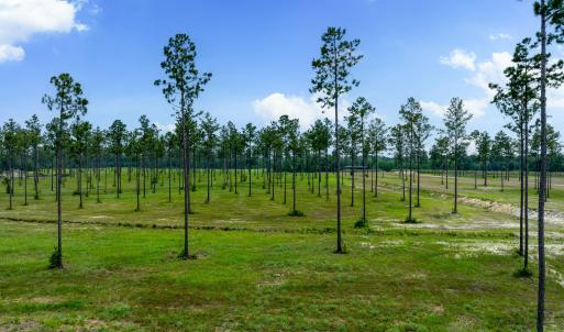 Lot 25 Kingbird MLS-13