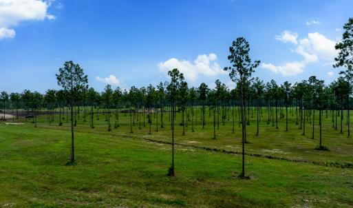 Lot 25 Kingbird MLS-18