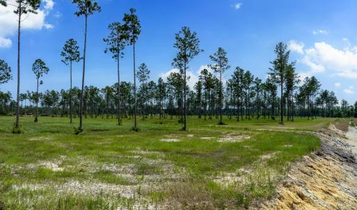 Lot 25 Kingbird MLS-11