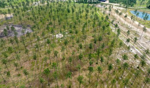 Lot 25 Kingbird MLS-9