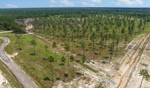 Lot 25 Kingbird MLS-23