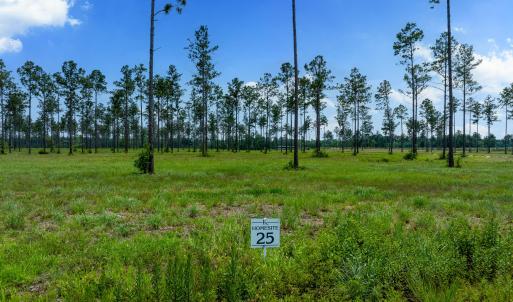 Lot 25 Kingbird MLS-1