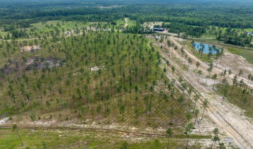 Lot 25 Kingbird MLS-19