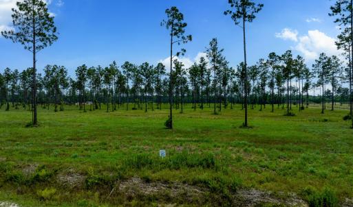 Lot 25 Kingbird MLS-5