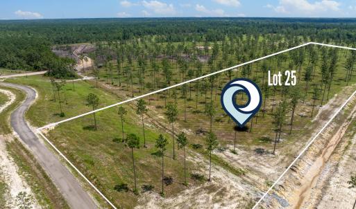 Lot 25 Kingbird MLS-10