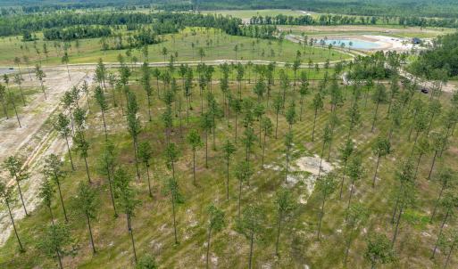 Lot 25 Kingbird MLS-21