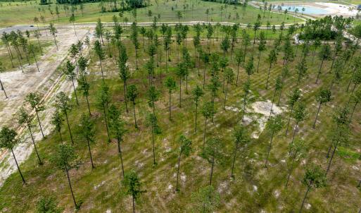 Lot 25 Kingbird MLS-7