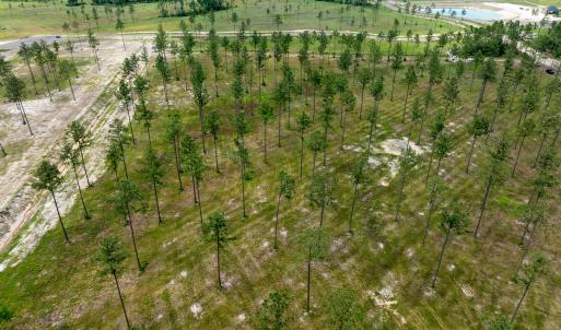 Lot 25 Kingbird MLS-17