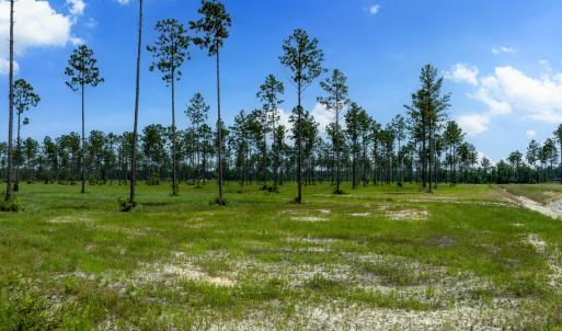 Lot 25 Kingbird MLS-4