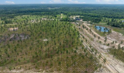 Lot 25 Kingbird MLS-20