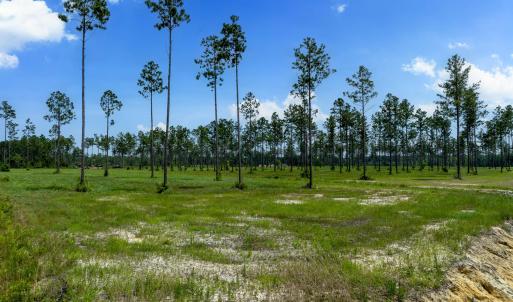 Lot 25 Kingbird MLS-22