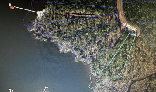 GIS View