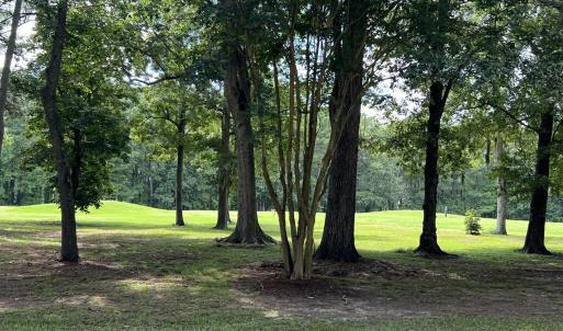Golf Course