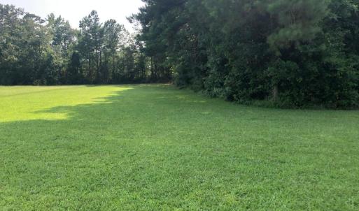cleared area