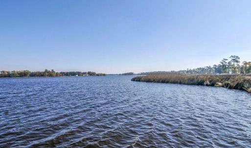 Pungo creek 02