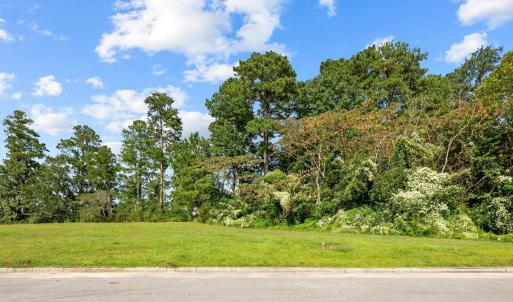 Street view of lot 43