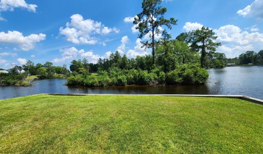 Grassy area by the boat docks