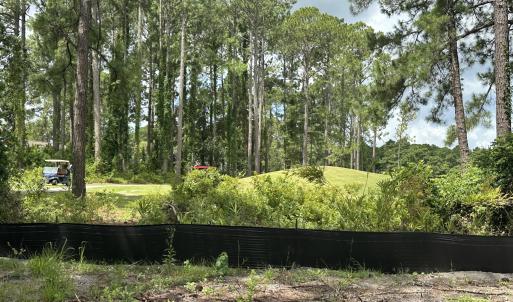 Golf Course Views