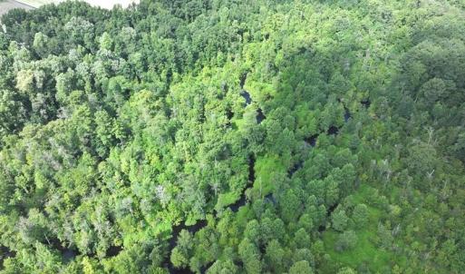 DJI_20250714030641_0550_D