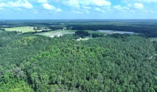 DJI_20250714030724_0552_D