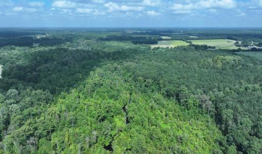 DJI_20250714030748_0554_D