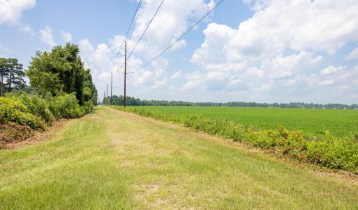 Easement