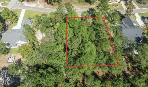 Screenshot 2025-07-26 at 11.43.37AM