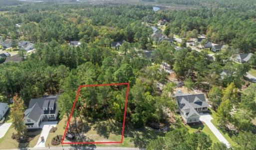 Screenshot 2025-07-26 at 11.43.52AM