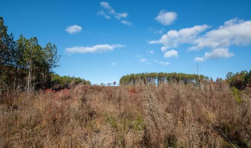 Cleetwood MLS PICS-6236