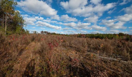 Cleetwood MLS PICS-6177