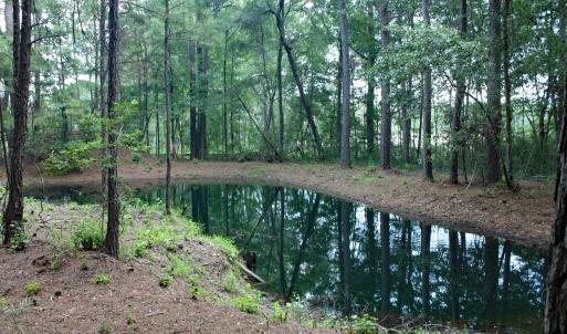 Pond