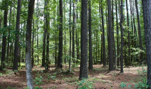 Wooded Waterbrook Woods Homesite