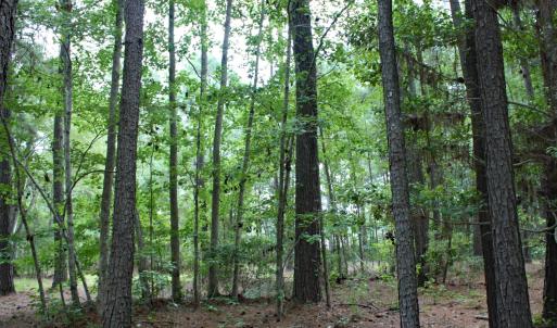 5780 Hanbury Homesite