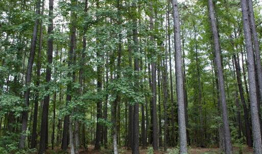Cul de sac Homesite