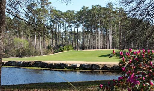 Water and Golf Views
