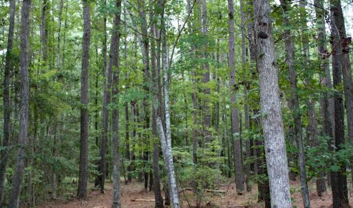 Waterbrook Woods Homesite