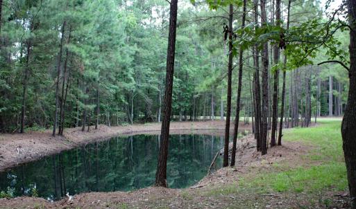 Lovely Pond Views