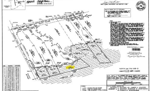 Lot 9 Lake Map Screenshot 2024-07-17 110