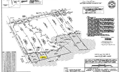 Lot 10 Lake Map Screenshot 2024-07-17 11