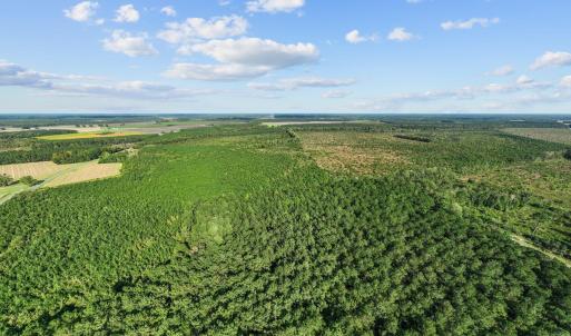 4-web-or-mls-DJI_0703