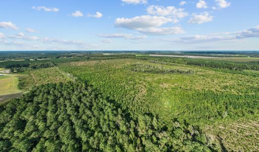 5-web-or-mls-DJI_0704